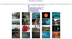 Desktop Screenshot of diverdan.name